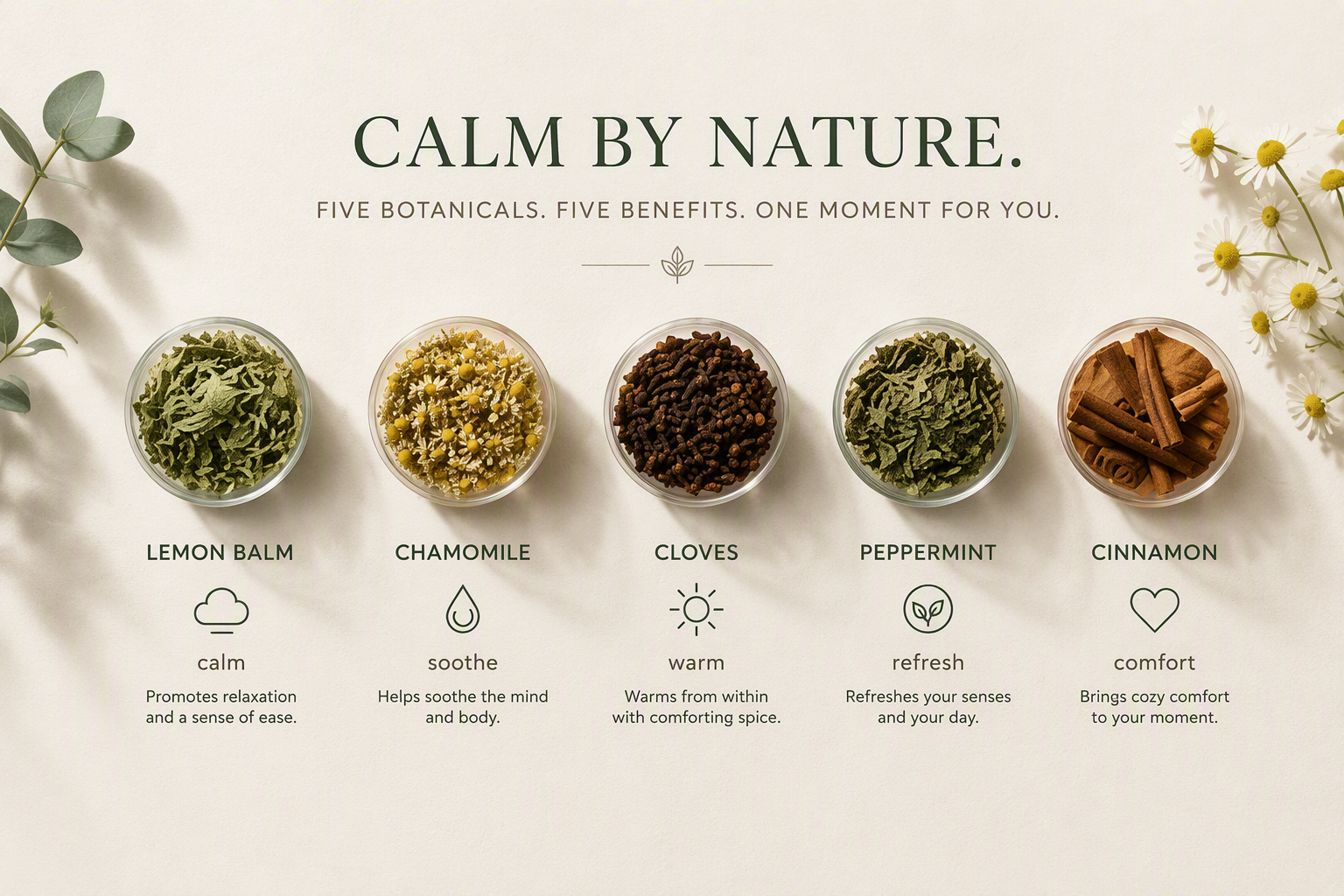 NERROL GOOD HEALTH Organic Tea